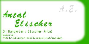 antal elischer business card